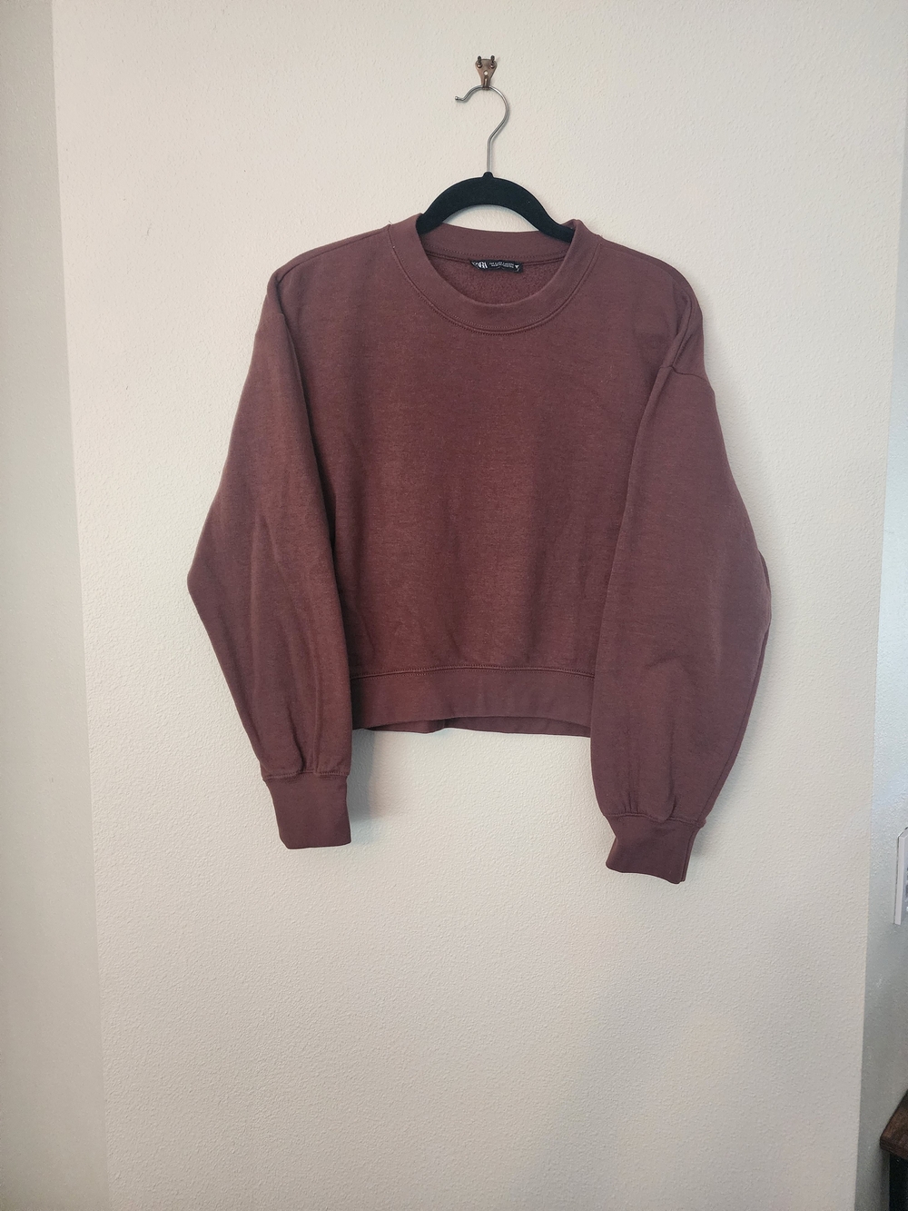 Zara Cropped Crewneck Sweatshirt in Rust Brown